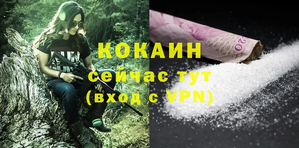 дмт Абаза