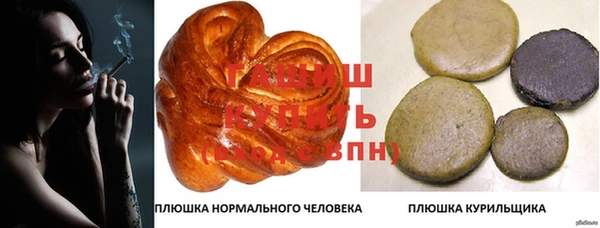 дмт Абаза
